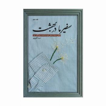 سفیر ما در بهشت (روایتی مستند از زندگی شهید منا محمدرحیم آقایی پور)