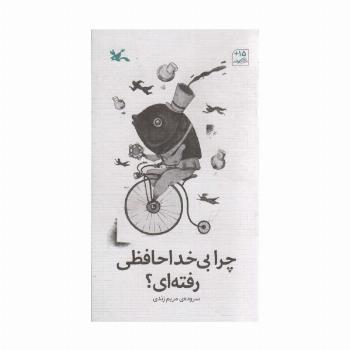 چرا بی خداحافظی رفته ای؟