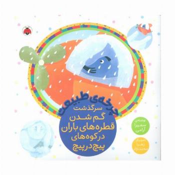 چرخه طبیعت (سرگذشت گم شدن قطره های باران در کوه های پیچ در پیچ)