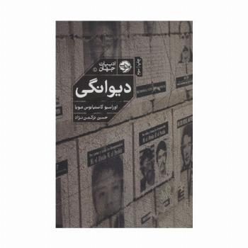 دیوانگی (ادبیات جهان)