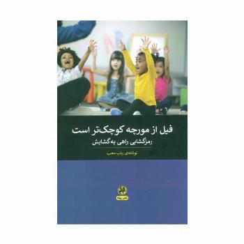 فیل از مورچه کوچک تر است (رمزگشایی راهی به گشایش)