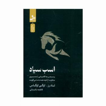 اسب سیاه (رسیدن به کامیابی از مسیری متفاوت از آنچه همه به ما می گویند)