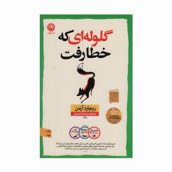 گلوله ای که خطا رفت