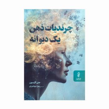 چرندیات ذهن یک دیوانه