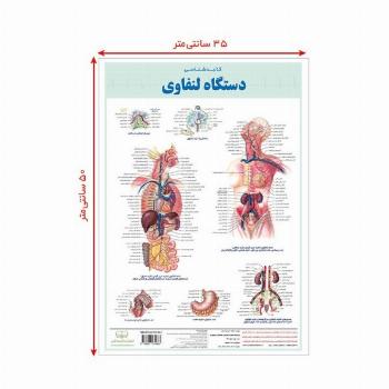 پوستر کالبد شناسی دستگاه لنفاوی 50*35 (گلاسه،باجعبه)