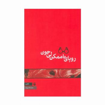 رویای ناممکن لی جون