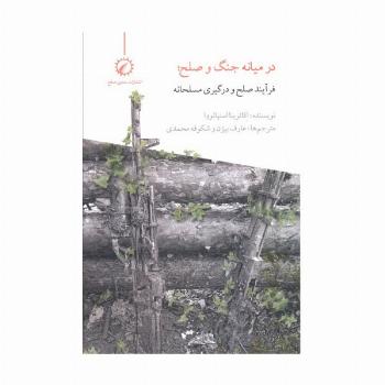 در میانه جنگ و صلح (فرآیند صلح و درگیری مسلحانه)