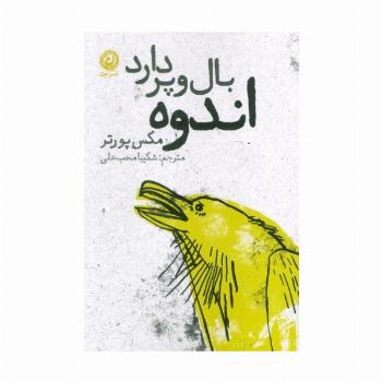 اندوه بال و پر دارد