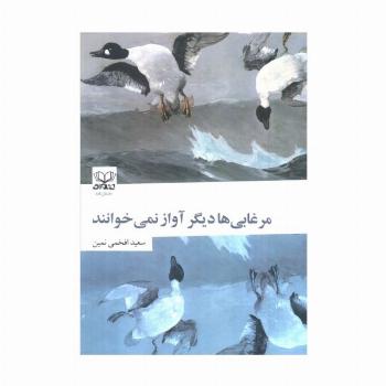 مرغابی ها دیگر آواز نمی خوانند