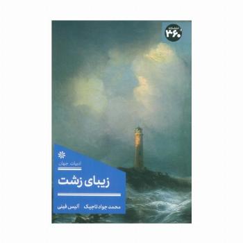 زیبای زشت
