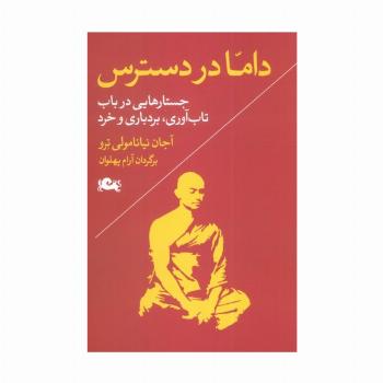 داما در دسترس (جستارهایی در باب تاب آوری،بردباری و خرد)