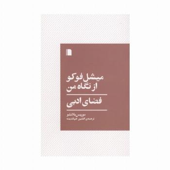 میشل فوکو از نگاه من (فضای ادبی)