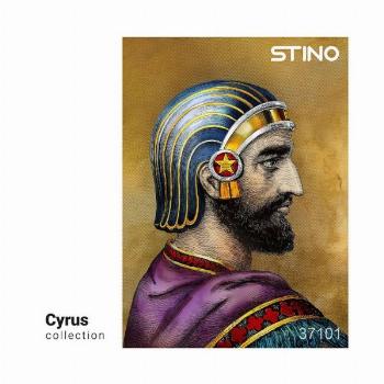 پازل شیشه ای استینو 1000 تکه طرح کوروش (CYRUS)،(کد 37101)،(باجعبه)