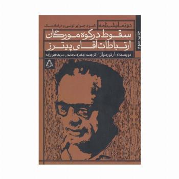 سقوط در کوه مورگان و ارتباطات آقای پیترز