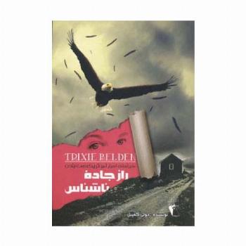 راز جاده ناشناس (ماجراهای اسرار آمیز تریکسی بلدن)