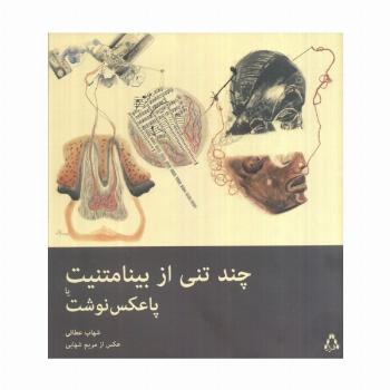 چند تنی از بینامتنیت یا پاعکس نوشت (گلاسه)