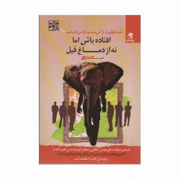 شما عظیم تر از آنی هستید که می اندیشید10 (افتاده باش اما نه از دماغ فیل)