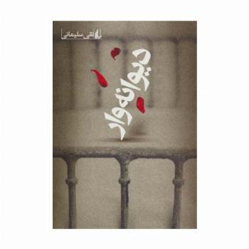 دیوانه وار (ادبیات امروز،رمان105)