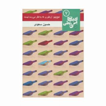 هیچ چیز آن طوری که به نظر می رسد نیست (ادبیات بی ربطی 7)