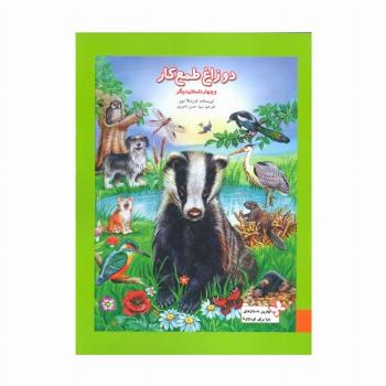 بهترین داستان های دنیا برای کودکان 5 (دو زاغ طمعکار و چهار داستان دیگر)