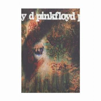 یک نعلبکی رمز و راز (Pink Floyd،a Saucerful Secrets)