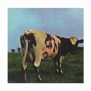 مادر قلب اتمی (Pink Floyd،Atom Heart Mother)،(سی دی صوتی)،(باقاب)