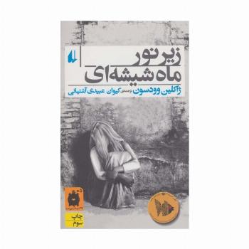 زیر نور ماه شیشه ای (رمان جوان 1)