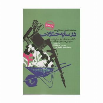 در سایه خشونت (سیاست،اقتصاد و مسائل توسعه)