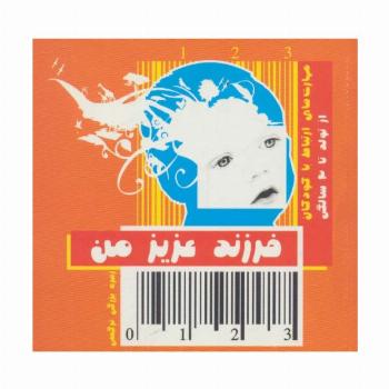 فرزند عزیز من 1 (مهارت های ارتباط با کودکان از تولد تا 3 سالگی)