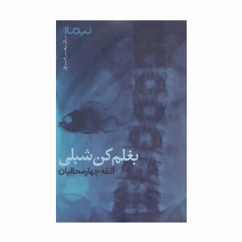 بغلم کن شبلی (پازل شعر امروز)