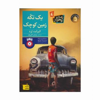 یک تکه زمین کوچک