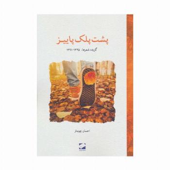 پشت پلک پاییز (گزیده شعرها،1395-1391)