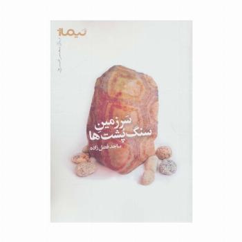 سرزمین سنگ پشت ها (پازل شعر امروز)