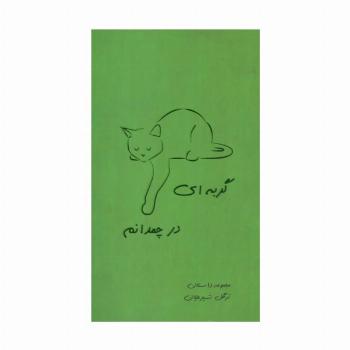 گربه ای در چمدانم (مجموعه داستان)