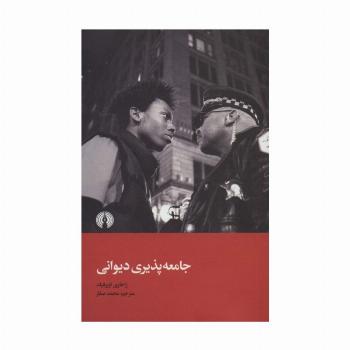 جامعه پذیری دیوانی