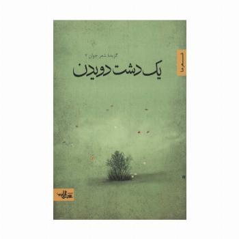 یک دشت دویدن (گزیده شعر جوان 2)